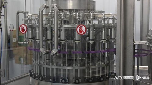 酸澀水果變身 致富果 ,小油柑如何 撬動 大產業(yè)