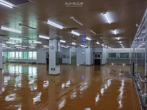 科技賦能 現代化罐頭食品生產凈化車間設計新理念與實踐