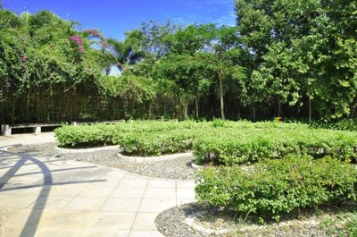 深圳市馨卉園林綠化工程