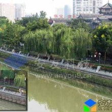 園林綠化工程 筑就城市生態與人文的交響