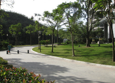 專(zhuān)業(yè)承接各類(lèi)園林綠化工程，打造綠色生態(tài)空間